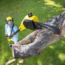 Best Aeration Services  in Cutten, CA
